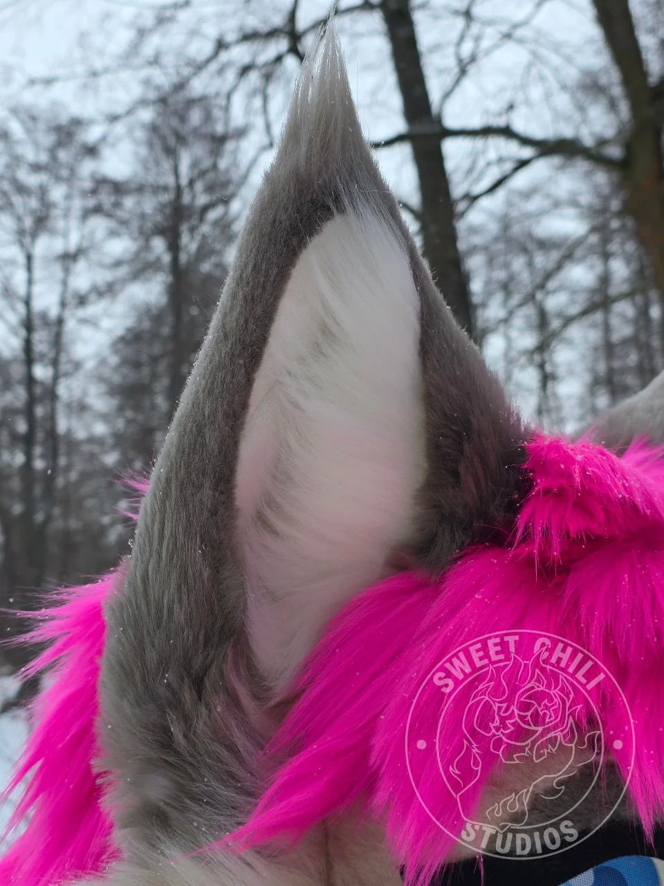 vex ear close up.jpg