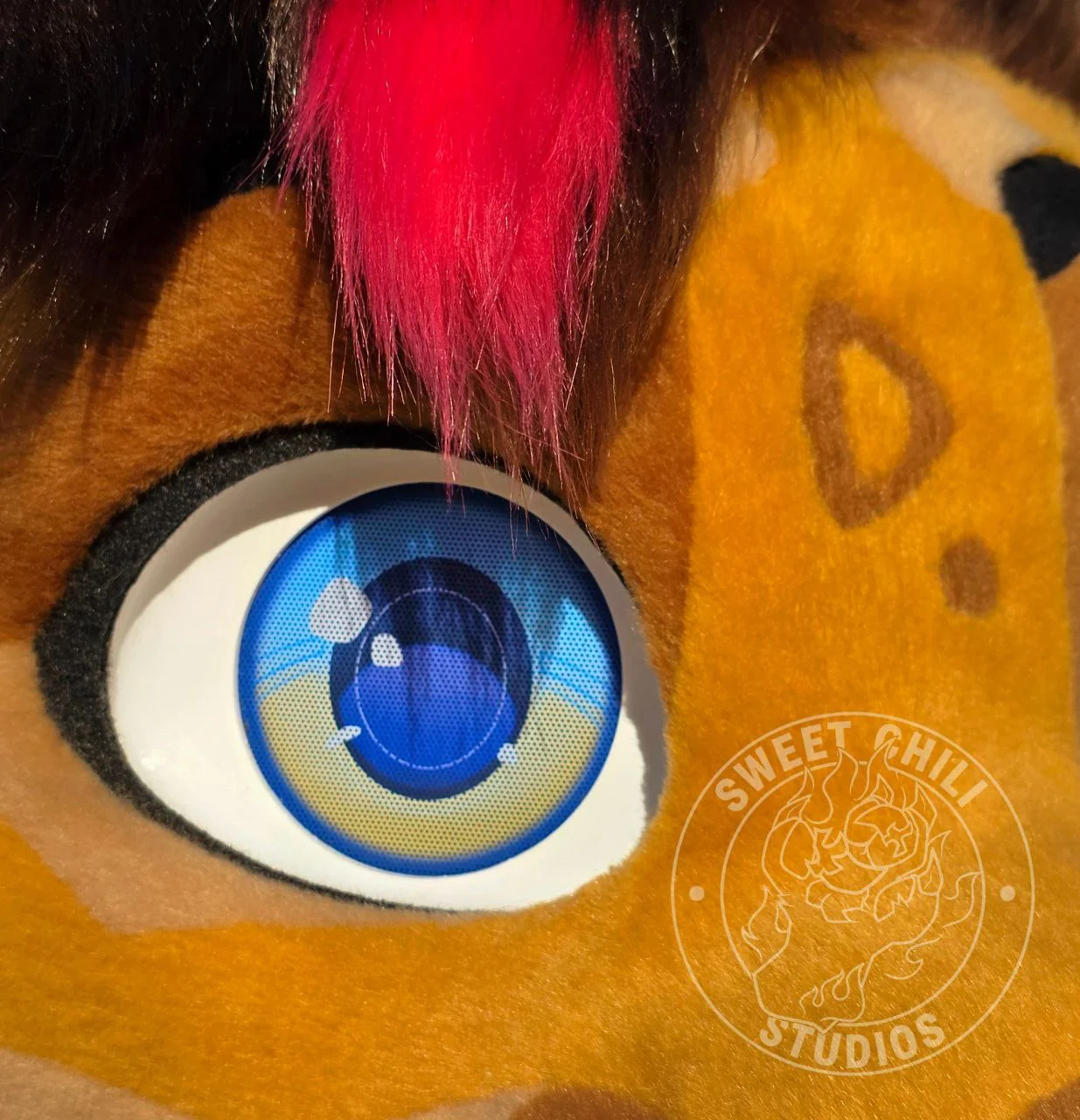 photo_2026-03-10_15-42-25 (2).jpg