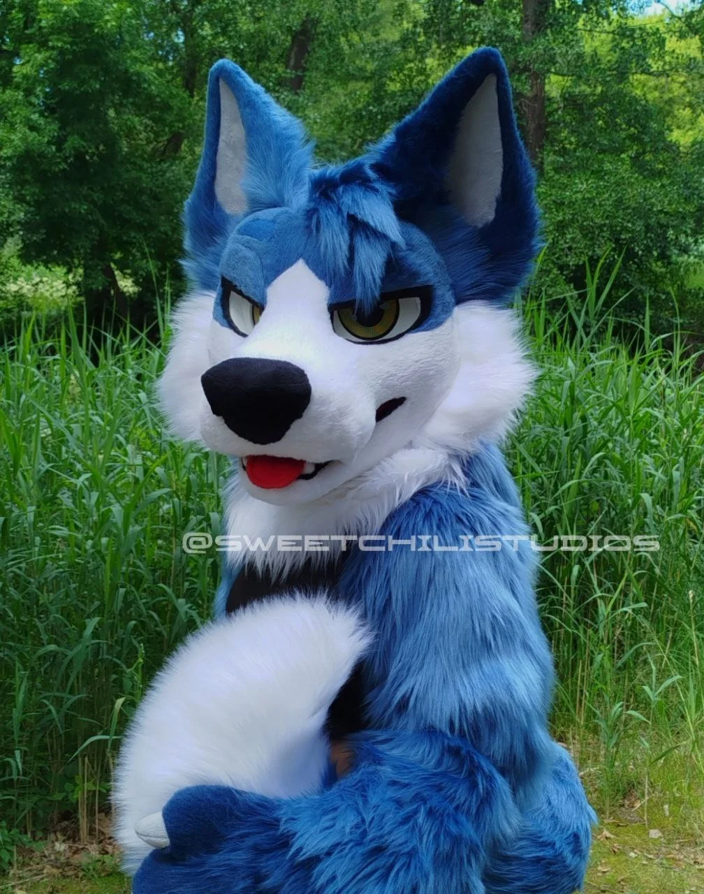 Ziomeks the dog