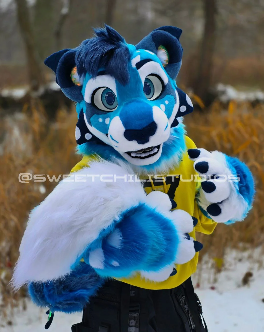 Puma premade